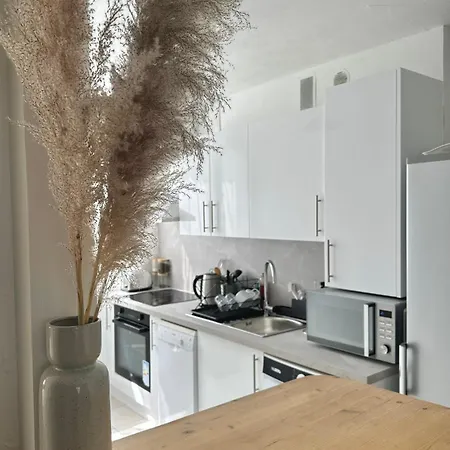 & Cosy T2 Near Airport Longjumeau